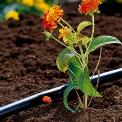 Gardena Goutte à Goutte Goutteur Auto-régulant Arrosage Goutte à Goutte Débit 2L/heure X25 -Espace vert et piscine Soldes Boutique goutteur auto regulant arrosage goutte a goutte ponctuel debit eau 2l heure lot 25 3