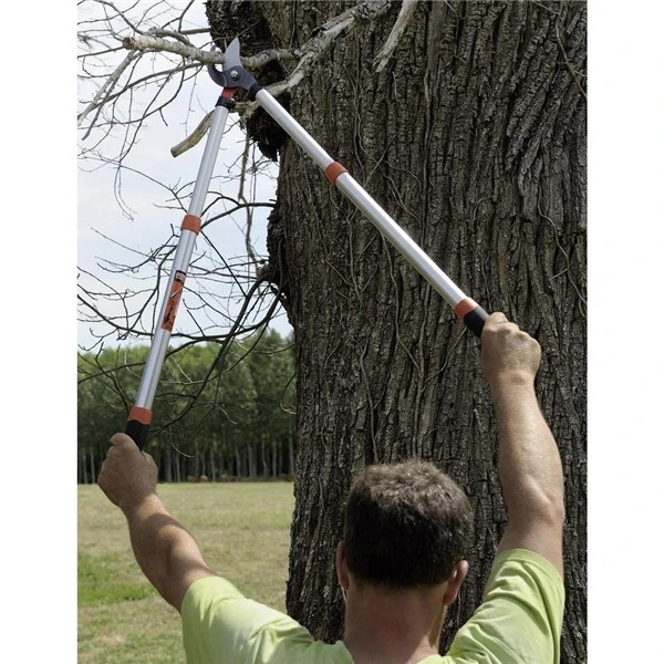 Sécateur Et élagueur Élagueur Expert PG-19-F Télescopique Bahco Longueur De 70 à 90 Cm 3 Sécateur Et élagueur Élagueur Expert PG-19-F Télescopique Bahco Longueur De 70 à 90 Cm