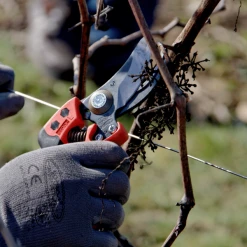 Sécateur Et élagueur Sécateur Ergonomique Poignée Fixe PX-M2 T M Taille Coupe 20mm Bahco 11 Sécateur Et élagueur Sécateur Ergonomique Poignée Fixe PX-M2 T M Taille Coupe 20mm Bahco -Espace vert et piscine Soldes Boutique secateur coupe bahco