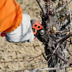 Sécateur Et élagueur Sécateur Ergonomique Poignée Fixe PX-M2 T M Taille Coupe 20mm Bahco 13 Sécateur Et élagueur Sécateur Ergonomique Poignée Fixe PX-M2 T M Taille Coupe 20mm Bahco -Espace vert et piscine Soldes Boutique secateur coupe ergo